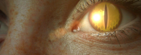 eye-465438_1280_2091105999