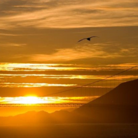 golden-gate_480x300