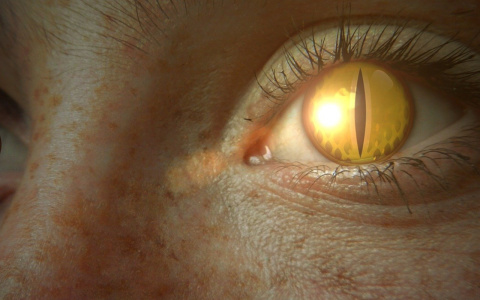 eye-465438_1280_2091105999