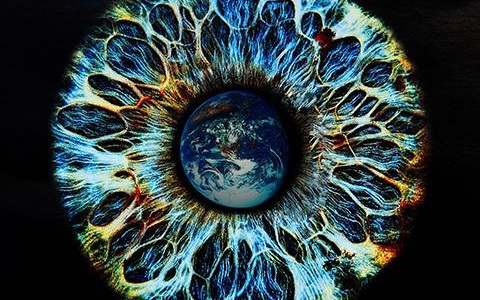 seeing3480x300_1036902956