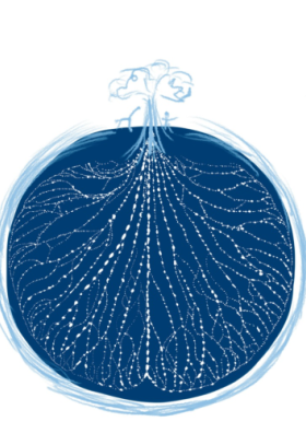 living_web_class_-_edited