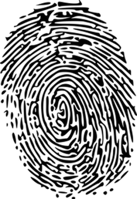 spirals_one